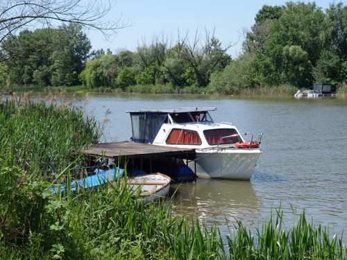 PICT 20250510 114257