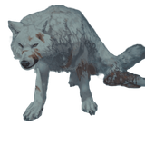 lobo1