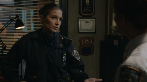 Blue.Bloods.S14E02.1080p.AMZN.WEB DL.DDP2.0.H.264.DUAL C76 002.png