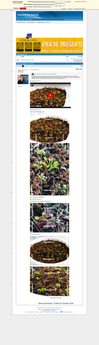 https://archive.ph/f3K2A (https://plantasexperimentos.proboards.com/post/15).png
