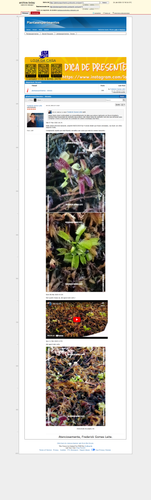 https://archive.ph/e051T (https://plantasexperimentos.proboards.com/post/13).png