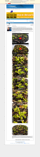 https://archive.ph/bfTn0 (https://plantasexperimentos.proboards.com/post/73).png