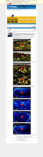 https://archive.ph/JDXhN (https://plantasexperimentos.proboards.com/post/111).png