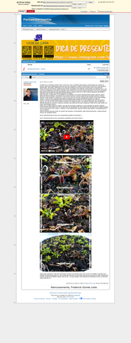 https://archive.ph/cq2ck (https://plantasexperimentos.proboards.com/post/75).png