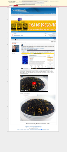 https://archive.ph/IizcK (https://plantasexperimentos.proboards.com/post/140).png