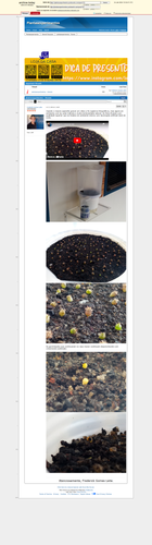 https://archive.ph/c9cFz (https://plantasexperimentos.proboards.com/post/153).png
