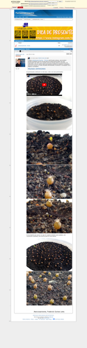 https://archive.ph/WTPms (https://plantasexperimentos.proboards.com/post/171).png