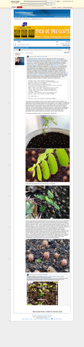 https://archive.ph/QA3Xl (https://plantasexperimentos.proboards.com/post/563).png