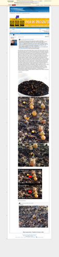 https://archive.ph/XMe6q (https://plantasexperimentos.proboards.com/post/229).png