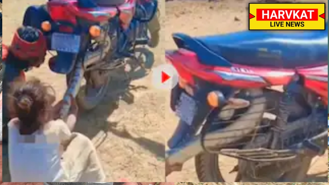 बाइक के पहिए में छिपा था जिंदा अजगर! वीडियो देख कांप जाएगी रूह – Viral Video ने इंटरनेट पर मचाया तहलका