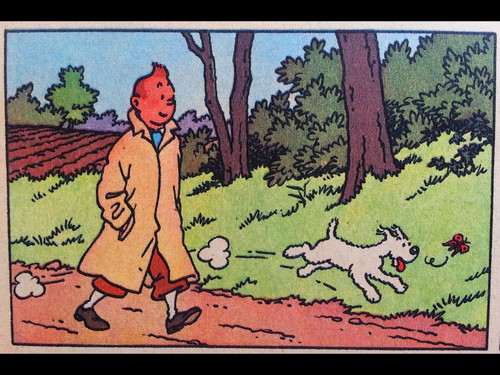 Tintin IMG 0794.jpg