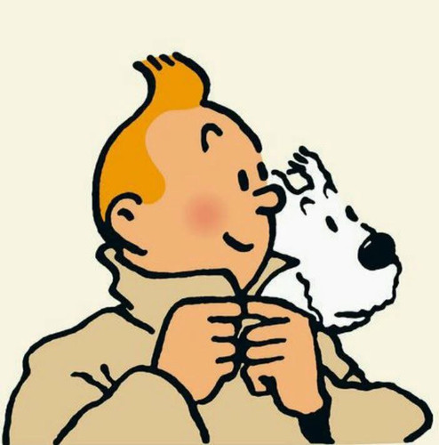 Tintin IMG 0802.jpg