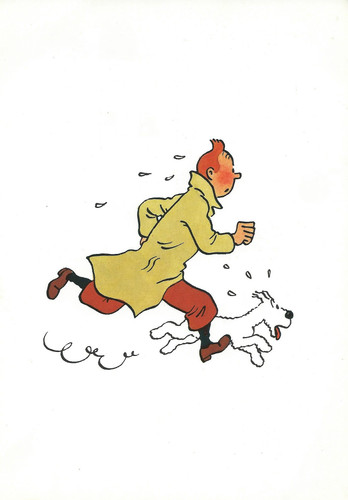 Tintin IMG 0804.jpg