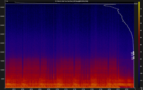 15 I Want to Hold Your Hand.flac