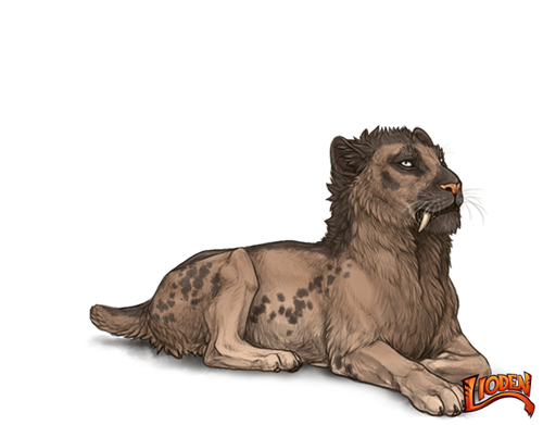 3w2ZQ5X.md.png