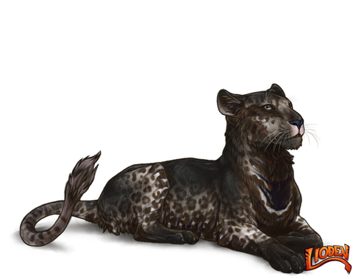 3w2imFt.md.png