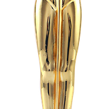 1007 10073471 academy awards png the oscars png oscar png.png