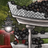 white black blossoms thumb.png