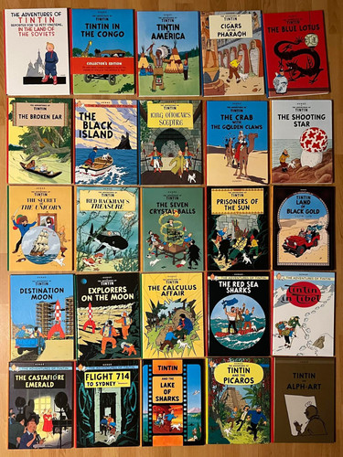 TINTIN IMG 0127 2.jpg