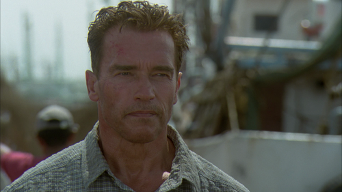 Collateral Damage 2002 1080p Blu ray DD 5.1 20250504 175815.910.png