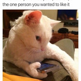 tumblr ovrr1oN5zU1vya6b5o1 540