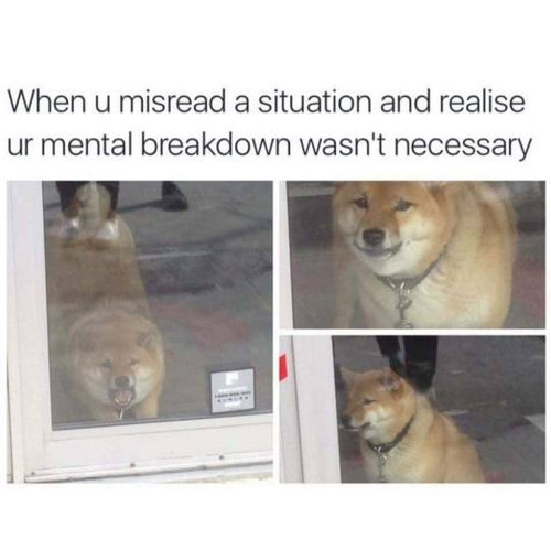 tumblr f1fd273a1ff72afe84df8ad69dfc328c 591c2819 540