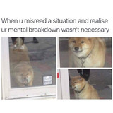 tumblr f1fd273a1ff72afe84df8ad69dfc328c 591c2819 540