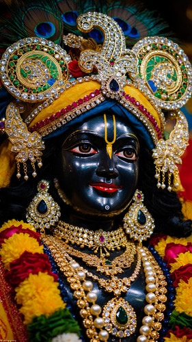 Lumii 20250501 083803646.jpg