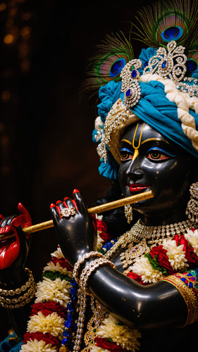 Lumii 20250501 083656804.jpg