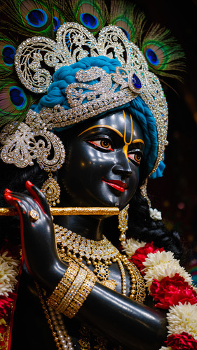 Lumii 20250501 083724538.jpg