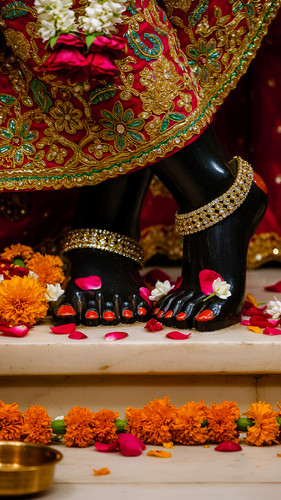 Lumii 20250501 083937931.jpg