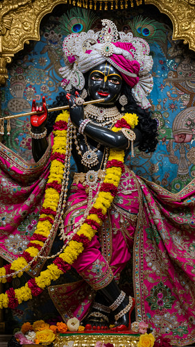 Lumii 20250501 083636457.jpg