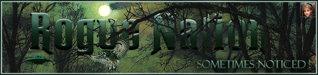 Rogue-Nation Discussion Board