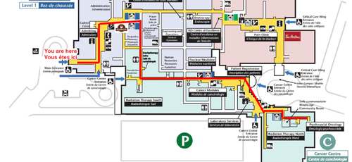 GEN Main goto Cancer Center Psychosocial Oncology.png