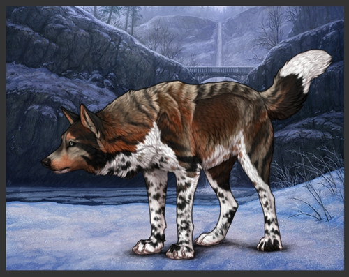 Screenshot 2025 03 19 18 41 41 763 com.android.chrome edit