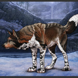 Screenshot 2025 03 19 18 41 41 763 com.android.chrome edit