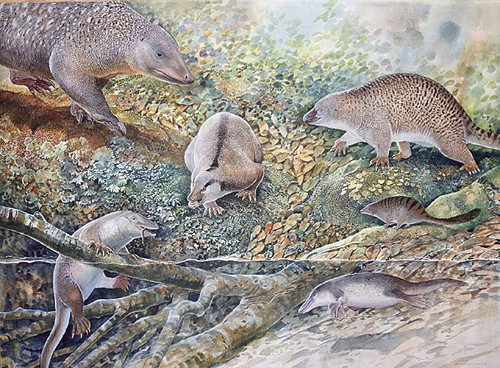 RnZUqwGiC0aLWryEjU362C4gj cGT8DNq0gdvn9DRvsMa9c52NhHaPBjp hTgVS4iSUY0AkGVvvzV5s2XMiEm7wLGsDZXEagrbxy.jpg