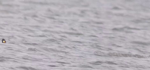 UT 5NGRK4Zxz d2C.jpg