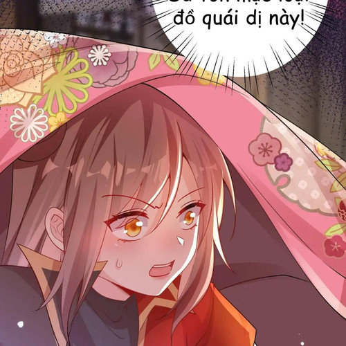 69.jpg