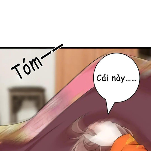 61.jpg