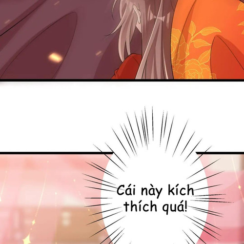 62.jpg