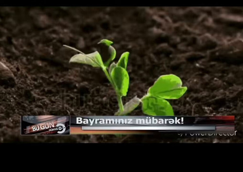 l9q OfNgsMIkMxTc.jpg