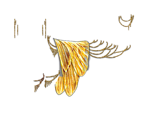 gilded kind.png