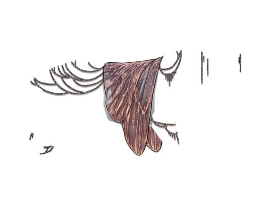 ambrossia neutral.png