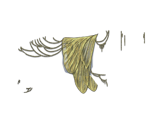 bush neutral.png