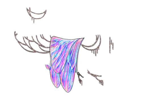 refraction snarky.png