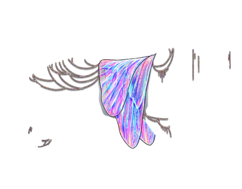 refraction neutral.png