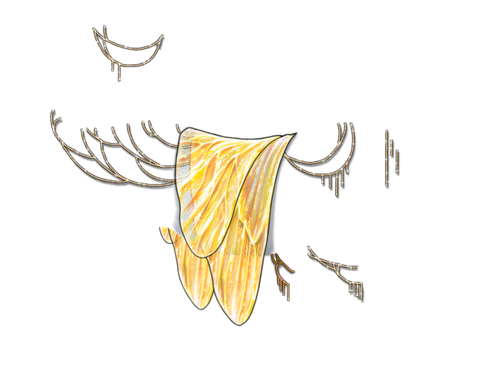 sunflower snarky.png