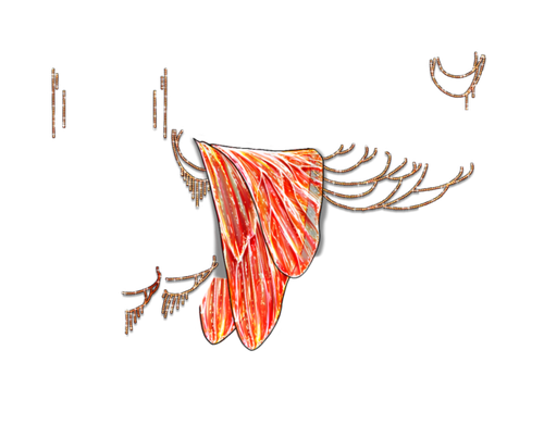 embers kind.png