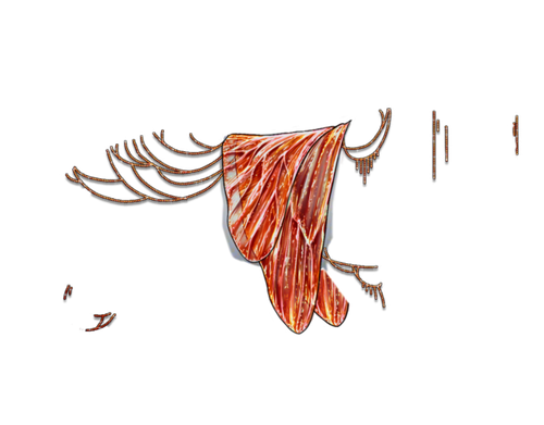 scorched neutral.png